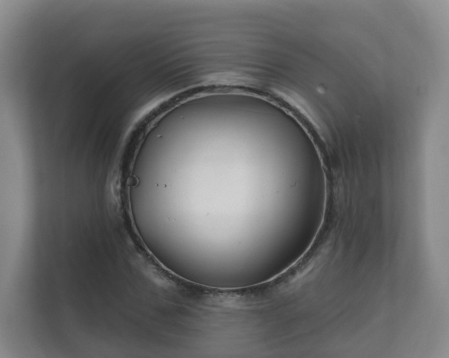 X0000112390971200908201539