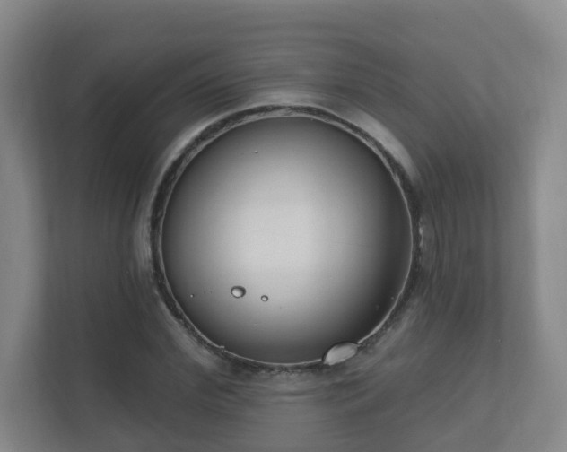 X0000112390972200908201539