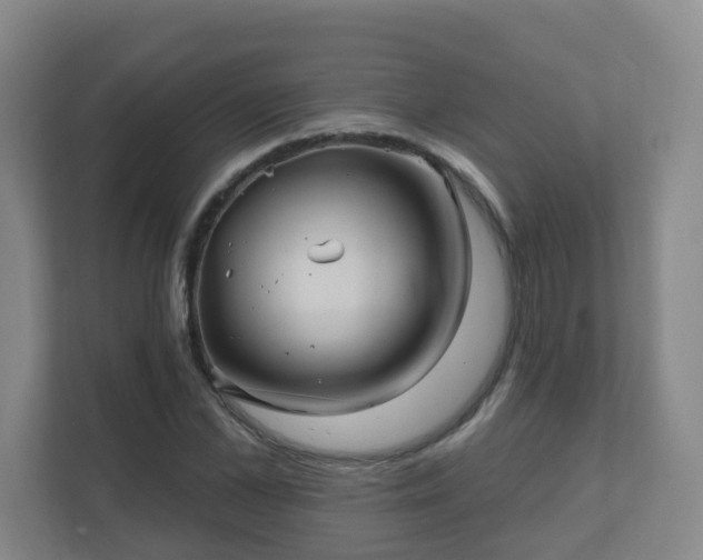 X0000112390973200908201539