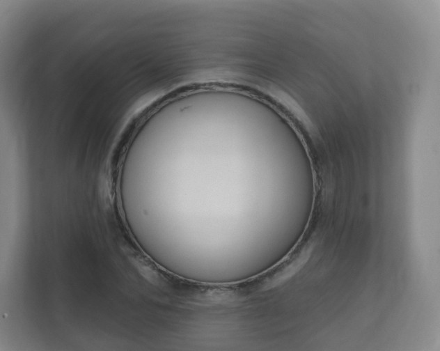 X0000112390974200908201539