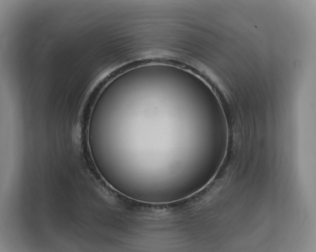 X0000112390975200908201539