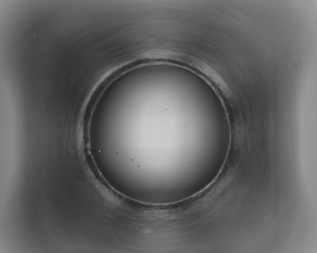 X0000112390976200908201539