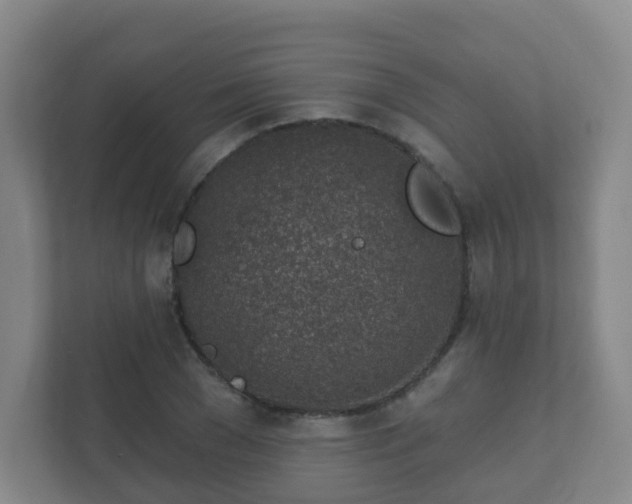 X0000112390977200908201539