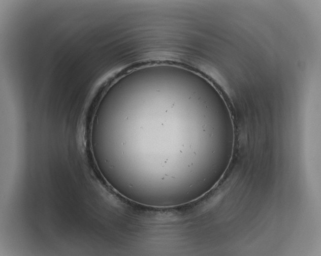 X0000112390979200908201539