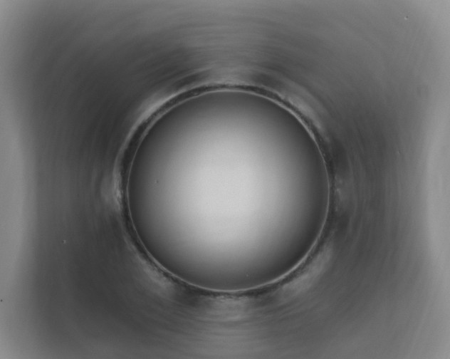 X0000112390981200908201539