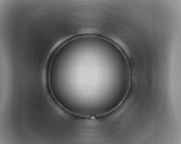 X0000112390983200908201539