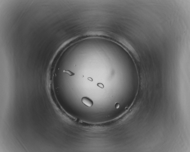 X0000112390984200908201539