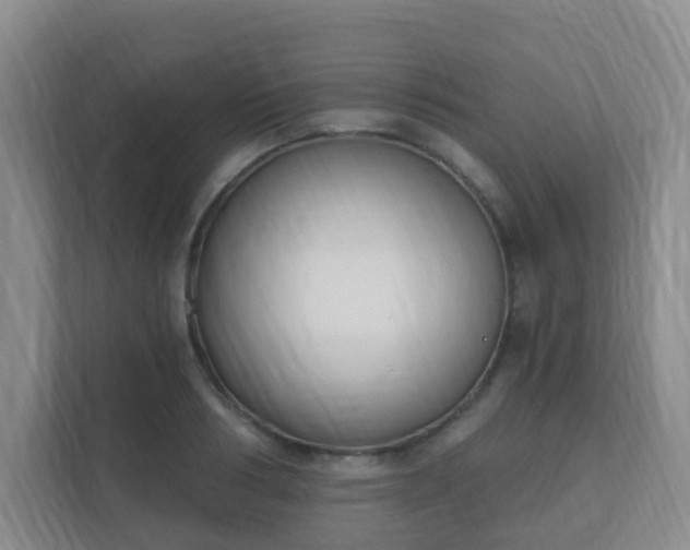 X0000112390986200908201539