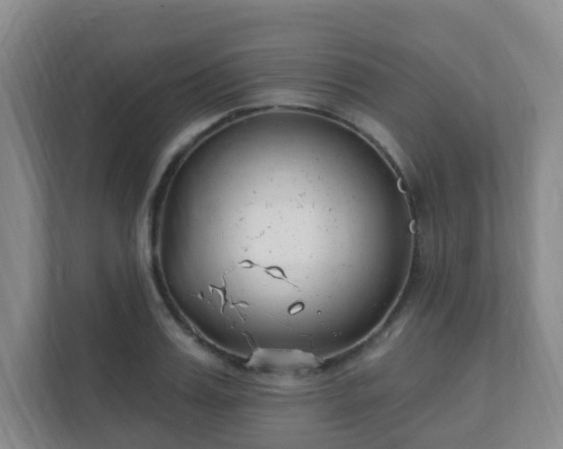 X0000112390987200908201539