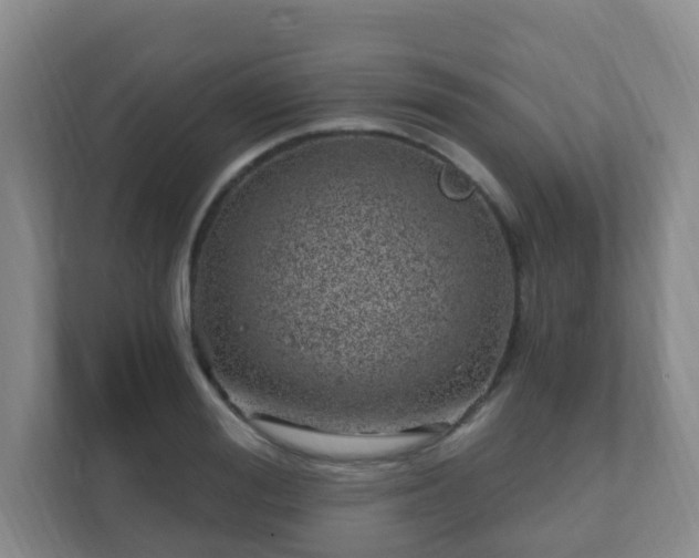 X0000112390988200908201539