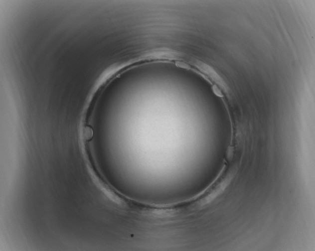 X0000112390989200908201539