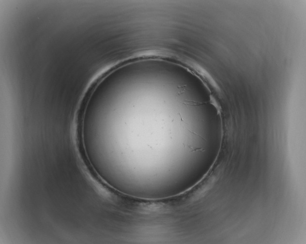 X0000112390991200908201538