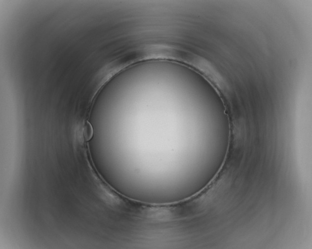 X0000112390993200908201538