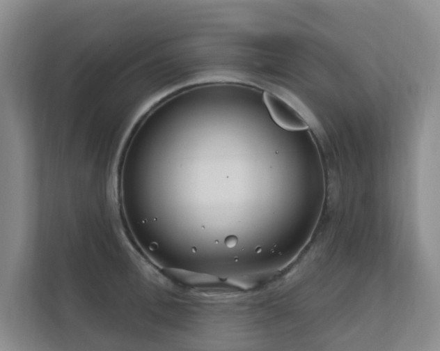 X0000112390996200908201538