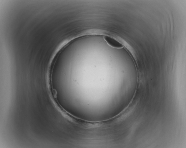 X0000112390997200908201538