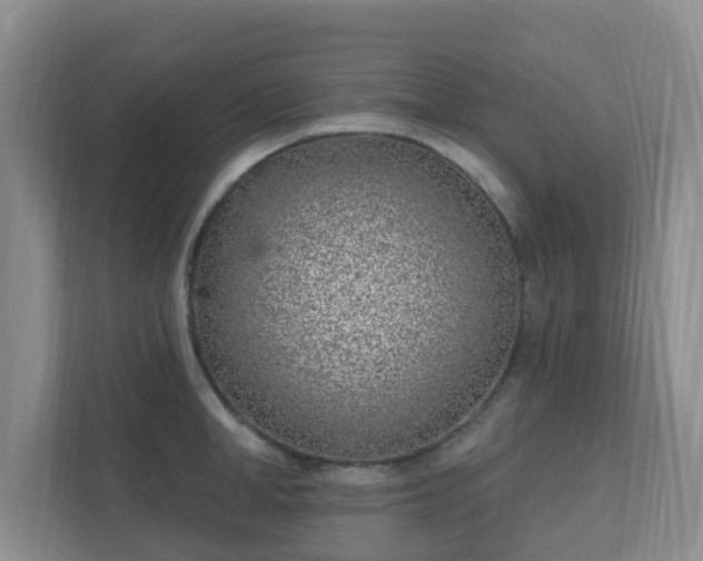 X0000112390998200908201538