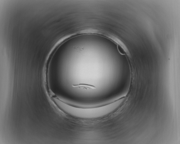 X0000112391000200908201538