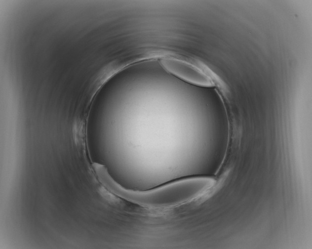 X0000112391001200908201538