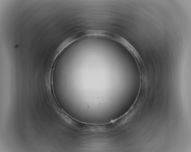 X0000112391002200908201538