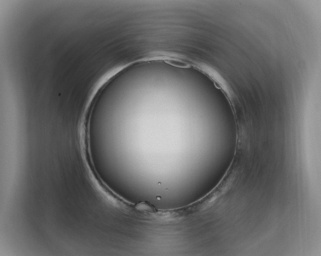 X0000112391003200908201538