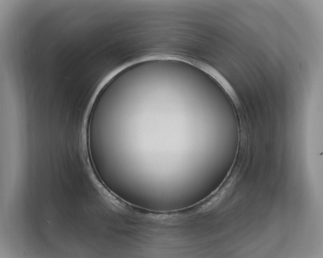 X0000112391004200908201538