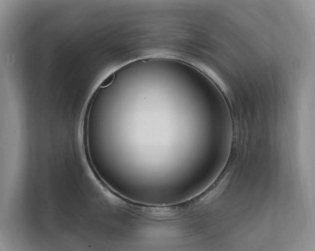 X0000112391007200908201538