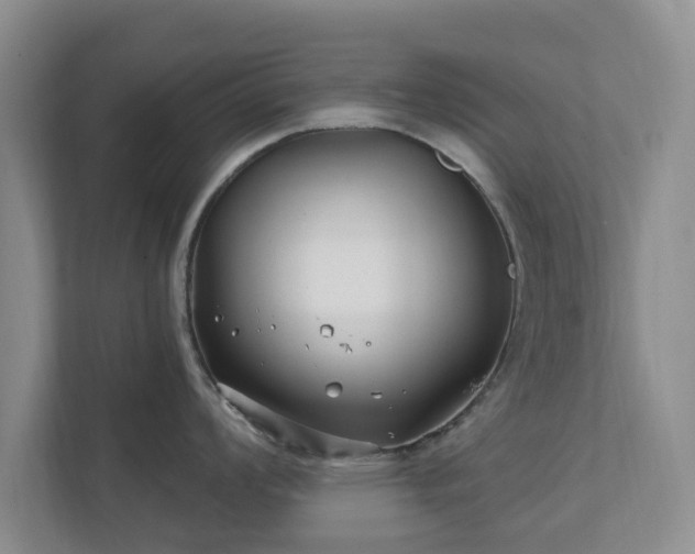 X0000112391008200908201538