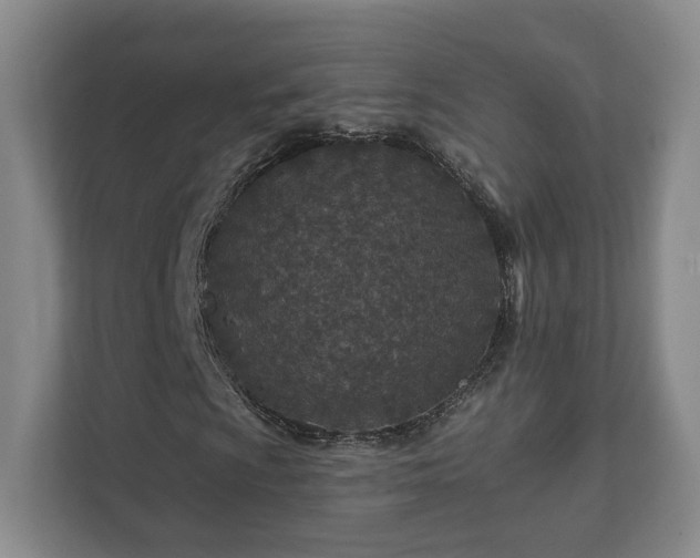 X0000112391009200908201538