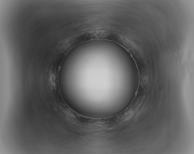 X0000112391010200908201538