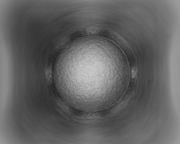 X0000112391011200908201538