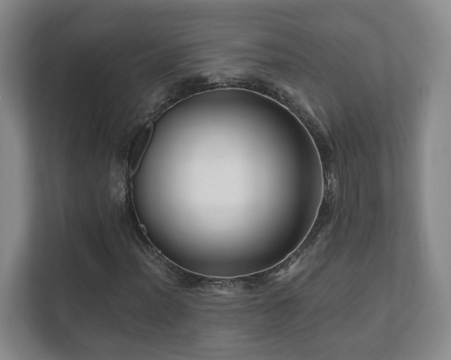 X0000112391012200908201538