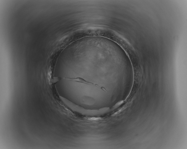 X0000112391013200908201538