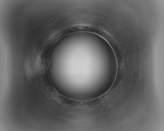 X0000112391014200908201538