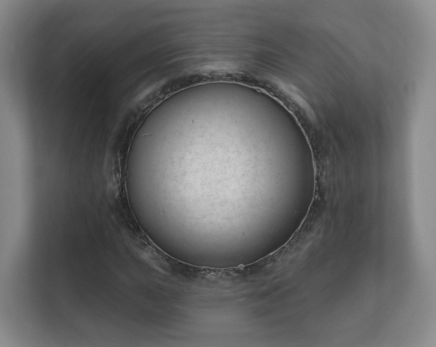 X0000112391015200908201538