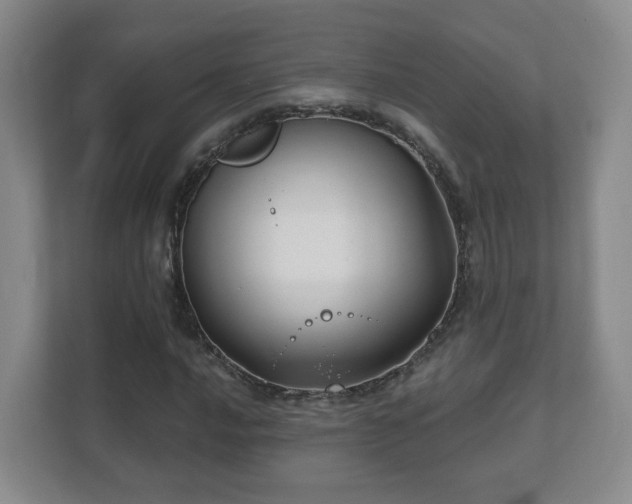 X0000112391016200908201538