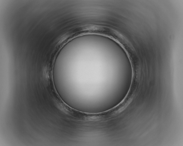 X0000112391017200908201538