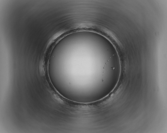 X0000112391018200908201538