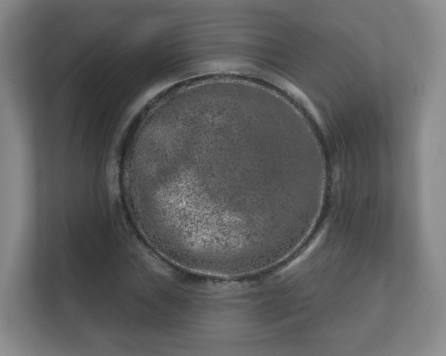 X0000112391019200908201538