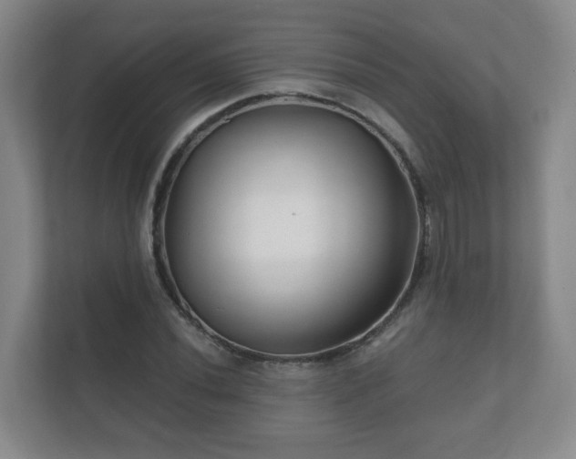 X0000112391020200908201538