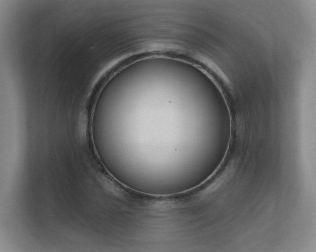 X0000112391021200908201538