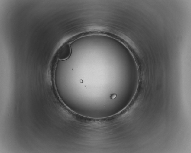 X0000112391022200908201538