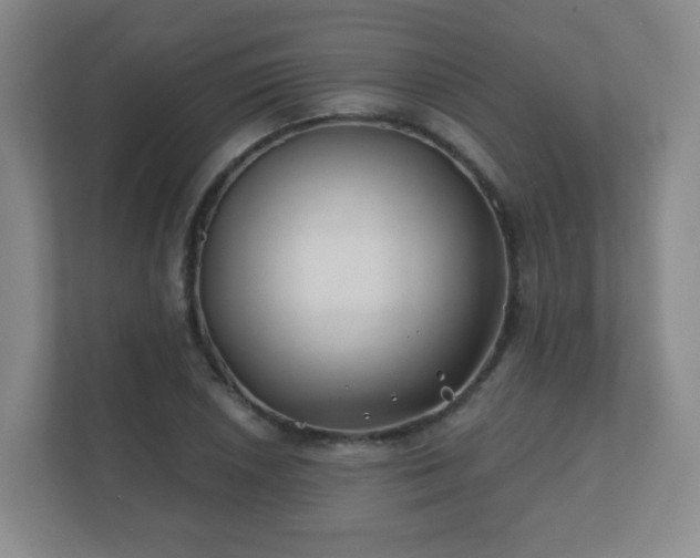 X0000112391026200908201538