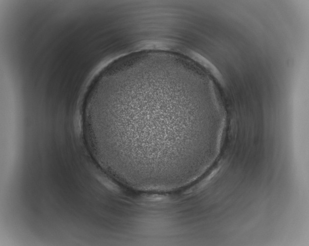 X0000112391027200908201538