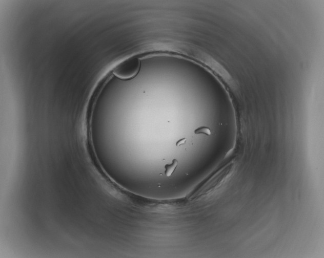 X0000112391028200908201538