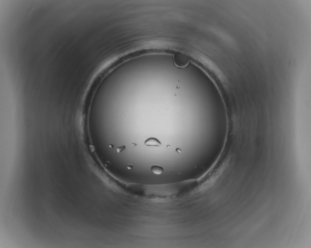 X0000112391029200908201538