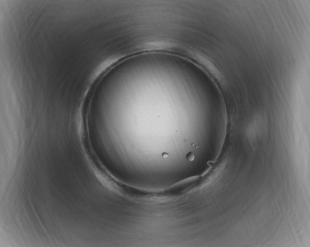 X0000112391034200908201538