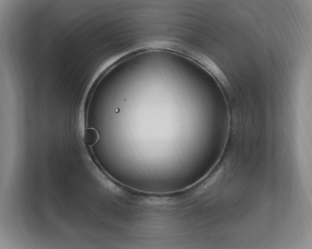 X0000112391036200908201538