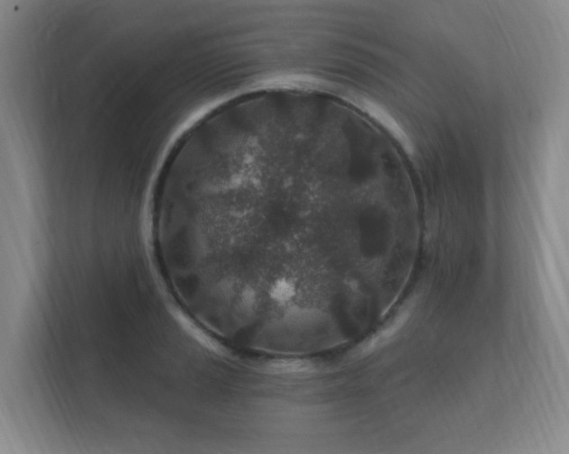 X0000112391037200908201538