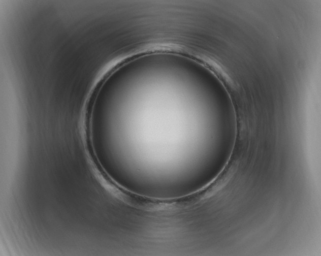 X0000112391038200908201538