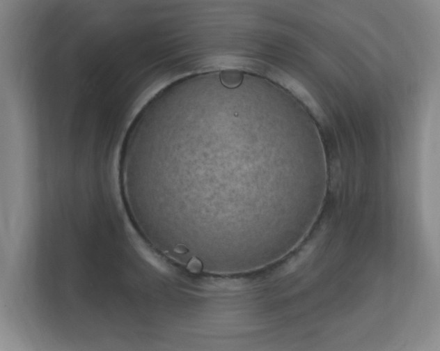 X0000112391039200908201538